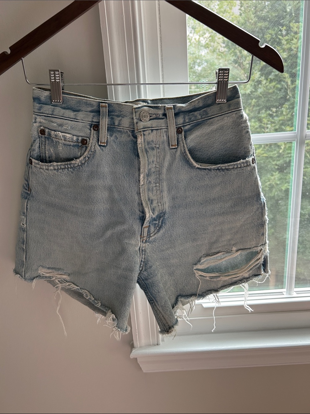 Agolde Parker Long Shorts